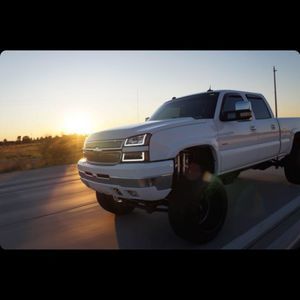 Meet your Posher, Owen